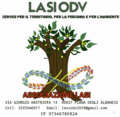 logo lasi
